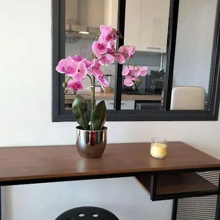 Apartment Chaleureux *