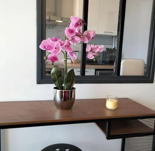 Appartement Chaleureux *